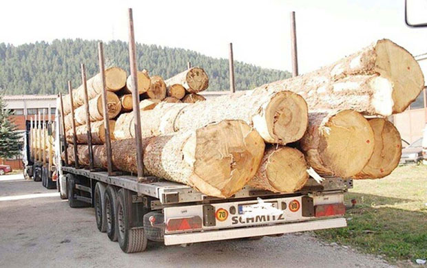 НЕМА БОЈАЗНИ ЗА ШУМЕ У ЦРНОЈ ГОРИ: Стао извоз огрева за Албанију